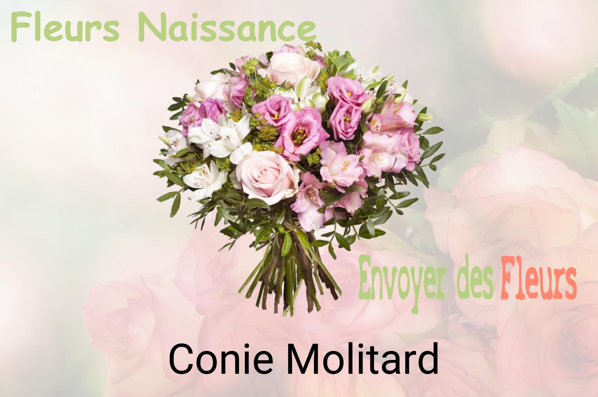 Bouquet de fleurs de naissance livré à Conie-Molitard